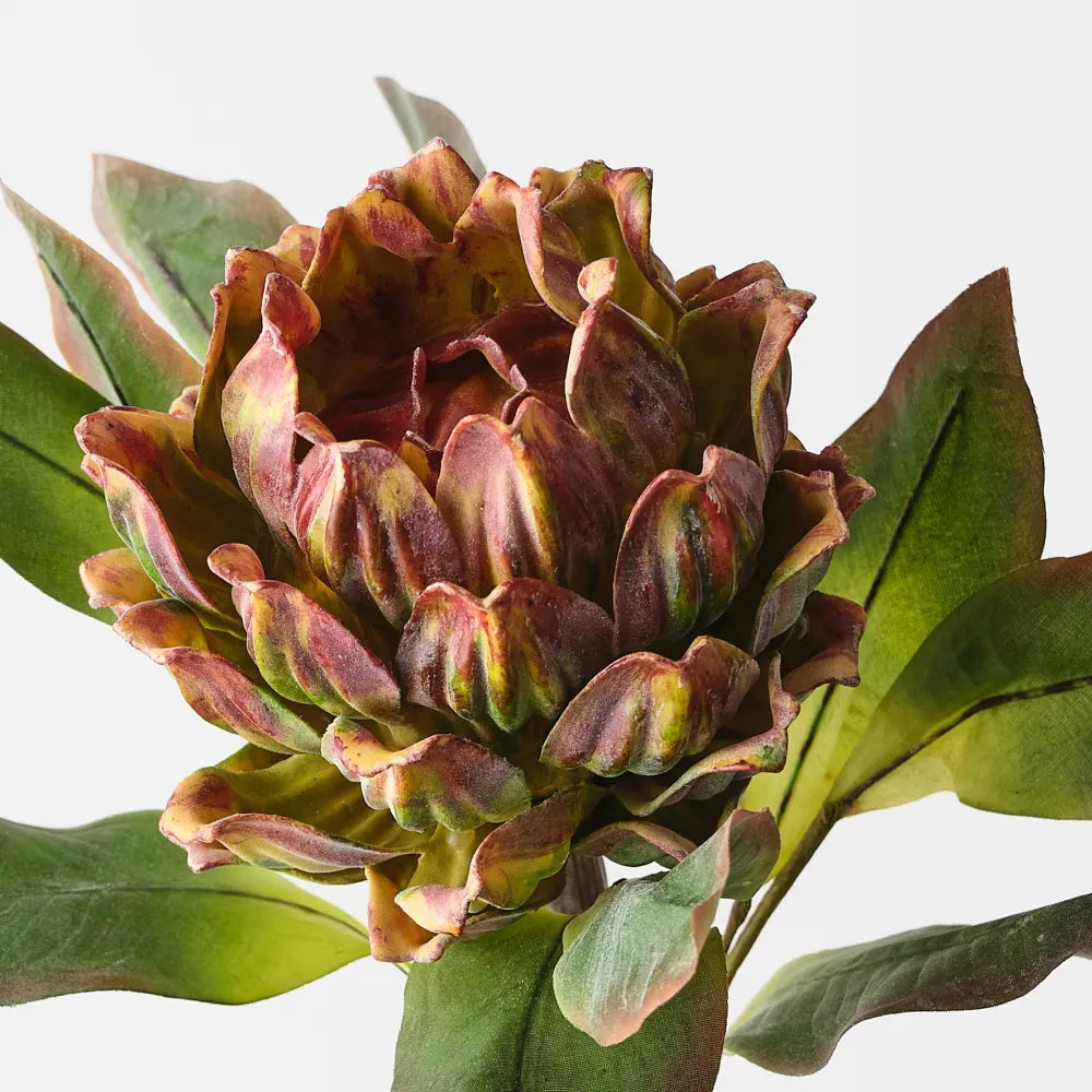 Artichoke Stem  62 cm - Burgundy