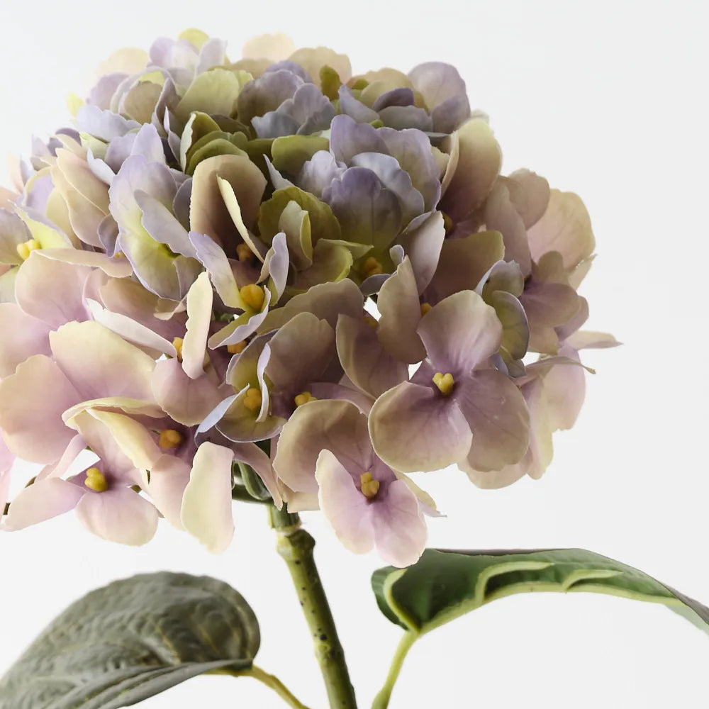 Hydrangea Stem - Green Purple