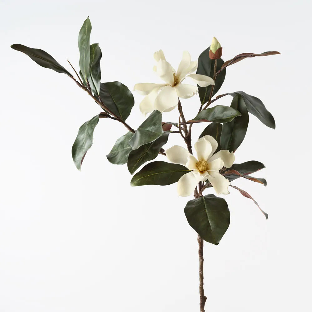 Magnolia Spray - 124cm Stem