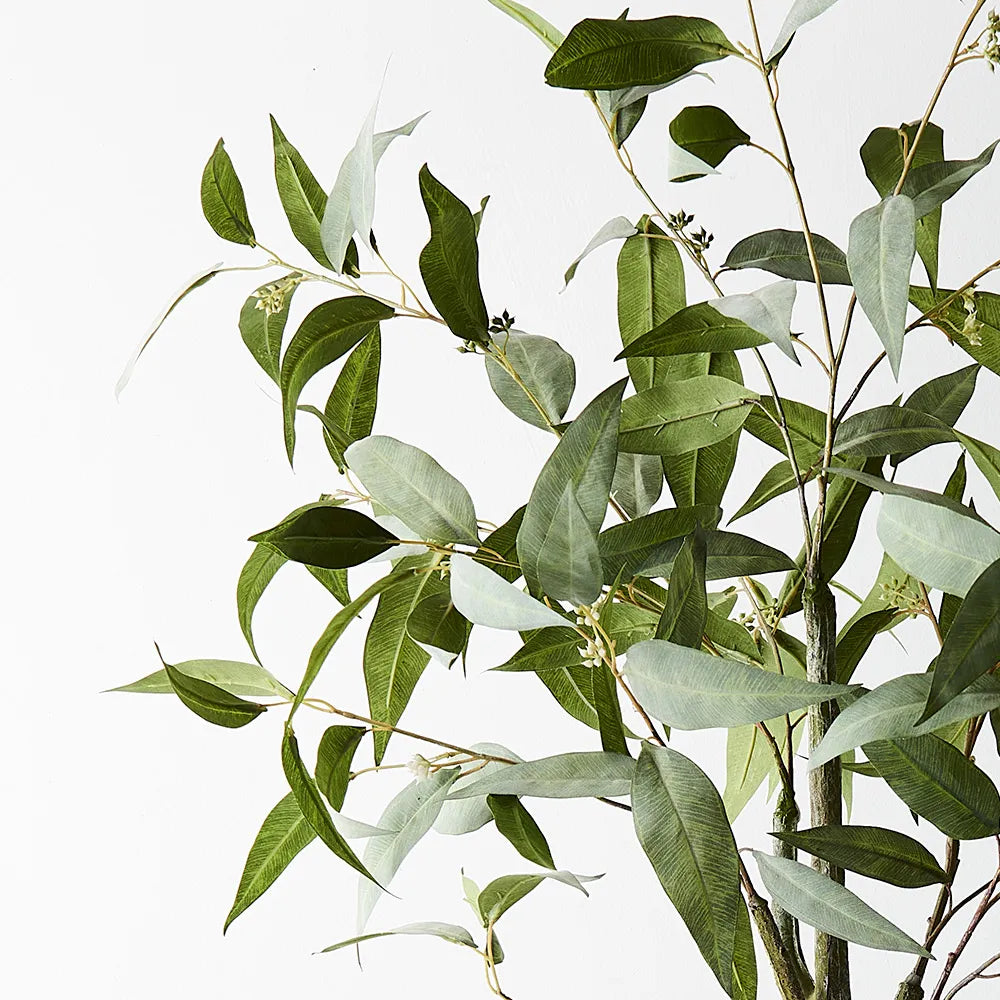 Eucalyptus Tree - 120cm