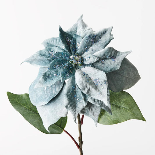 Sky Blue Velvet Poinsettia Large Stem - 71 cm