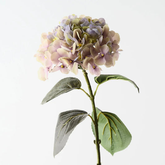 Hydrangea Stem - Green Purple