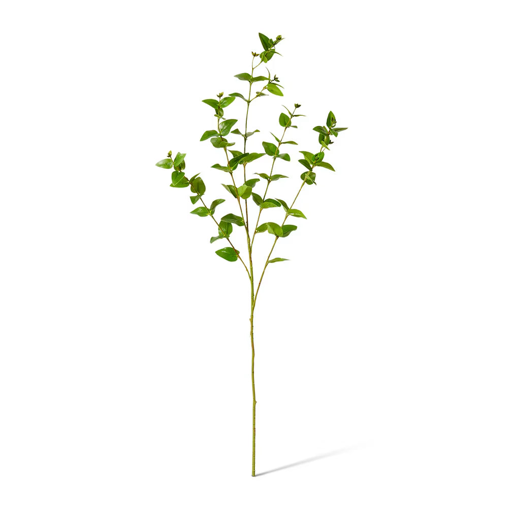Hoya Leaf Spray 84cm