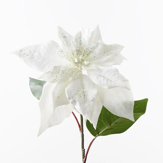 Crisp White Velvet Poinsettia Large Stem - 71 cm