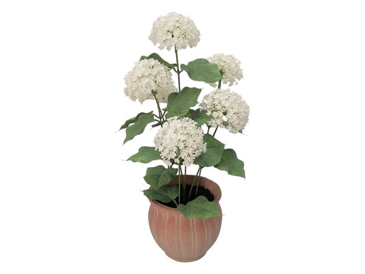 Rustic Providence Potted Floral Arrangement