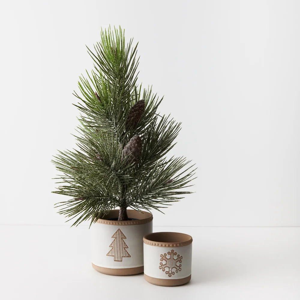 Tree Pine Jasper in pot - 53 cm