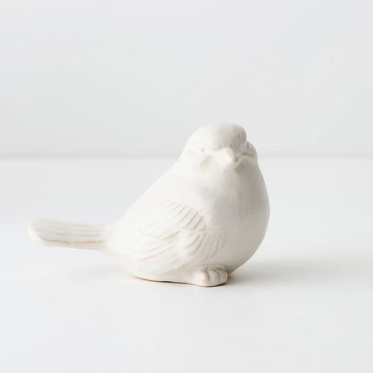 Sora Bird