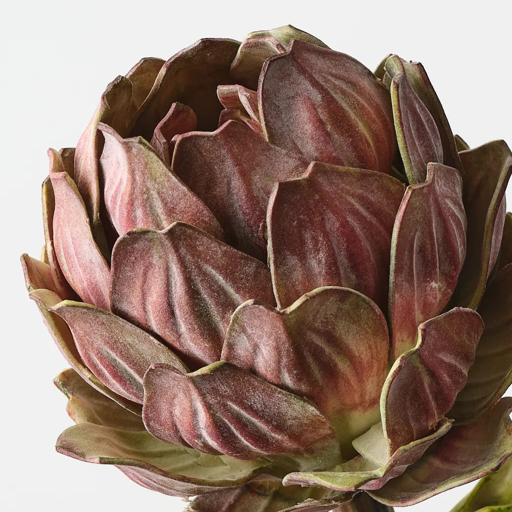 Artichoke Stem 32m - Burgundy