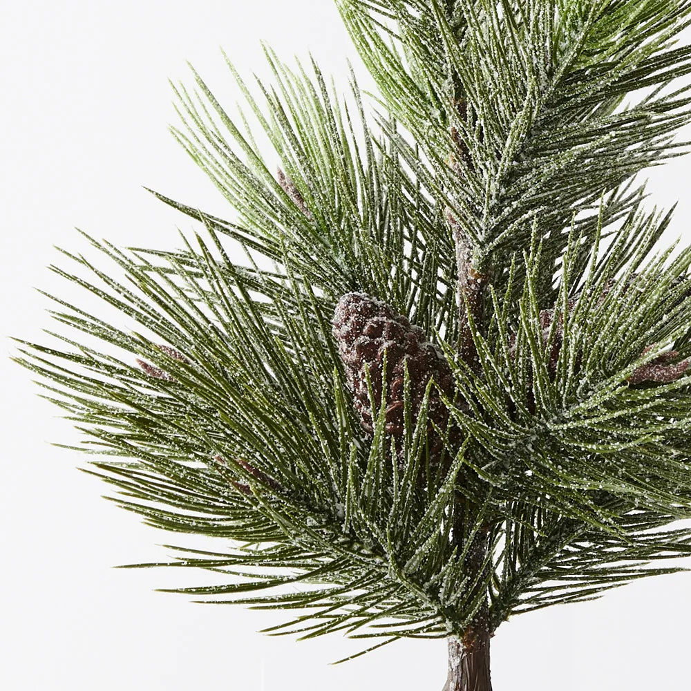 Tree Pine Jasper in pot - 53 cm