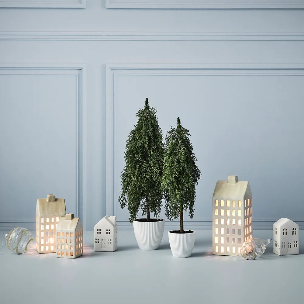 Tree Pine Cypress in Pot 58cm