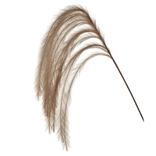 Hanging Pampas Grass XL Stem in Coffee