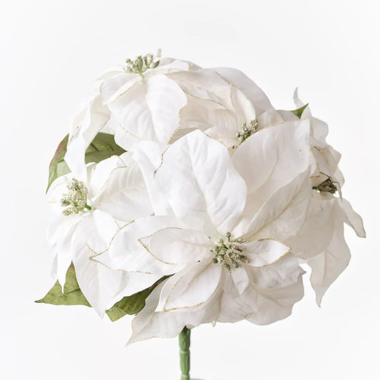 Poinsettia Glitter Bush - White