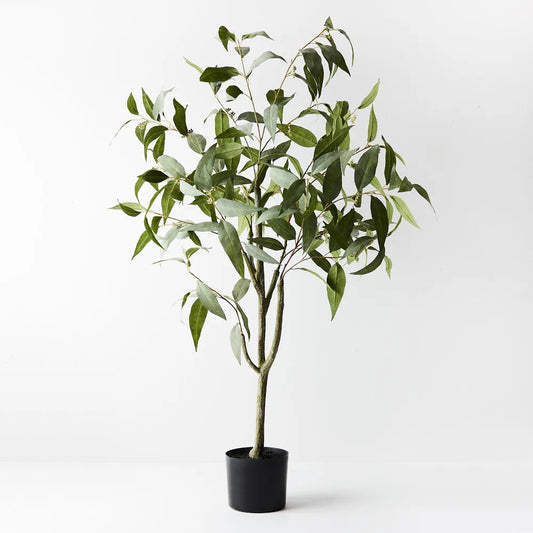 Eucalyptus Tree - 120cm