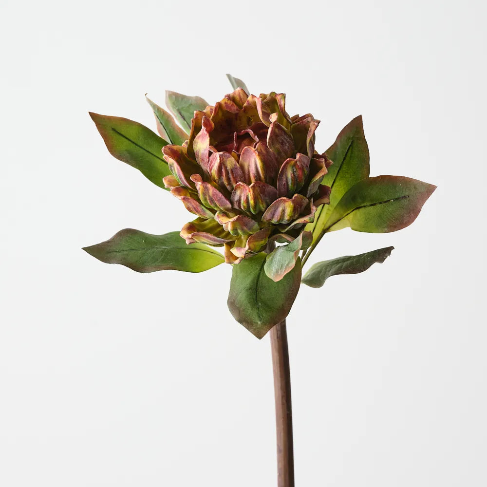 Artichoke Stem  62 cm - Burgundy