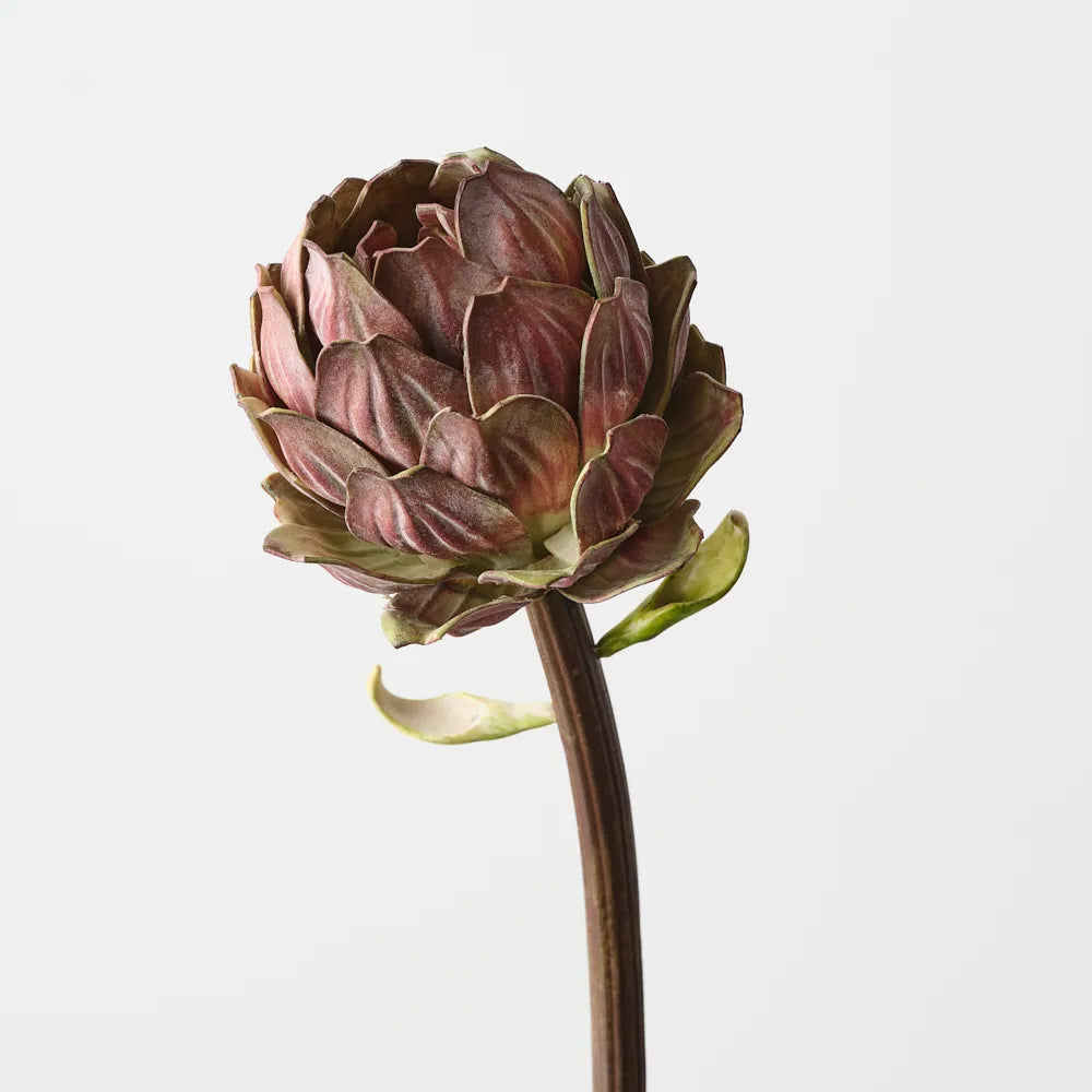 Artichoke Stem 32m - Burgundy