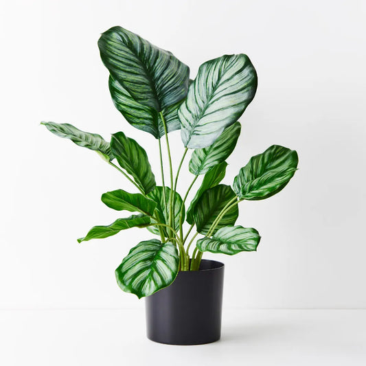Real Touch Calathea Plant - 48 cm