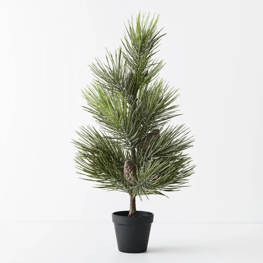 Tree Pine Jasper in pot - 69cm