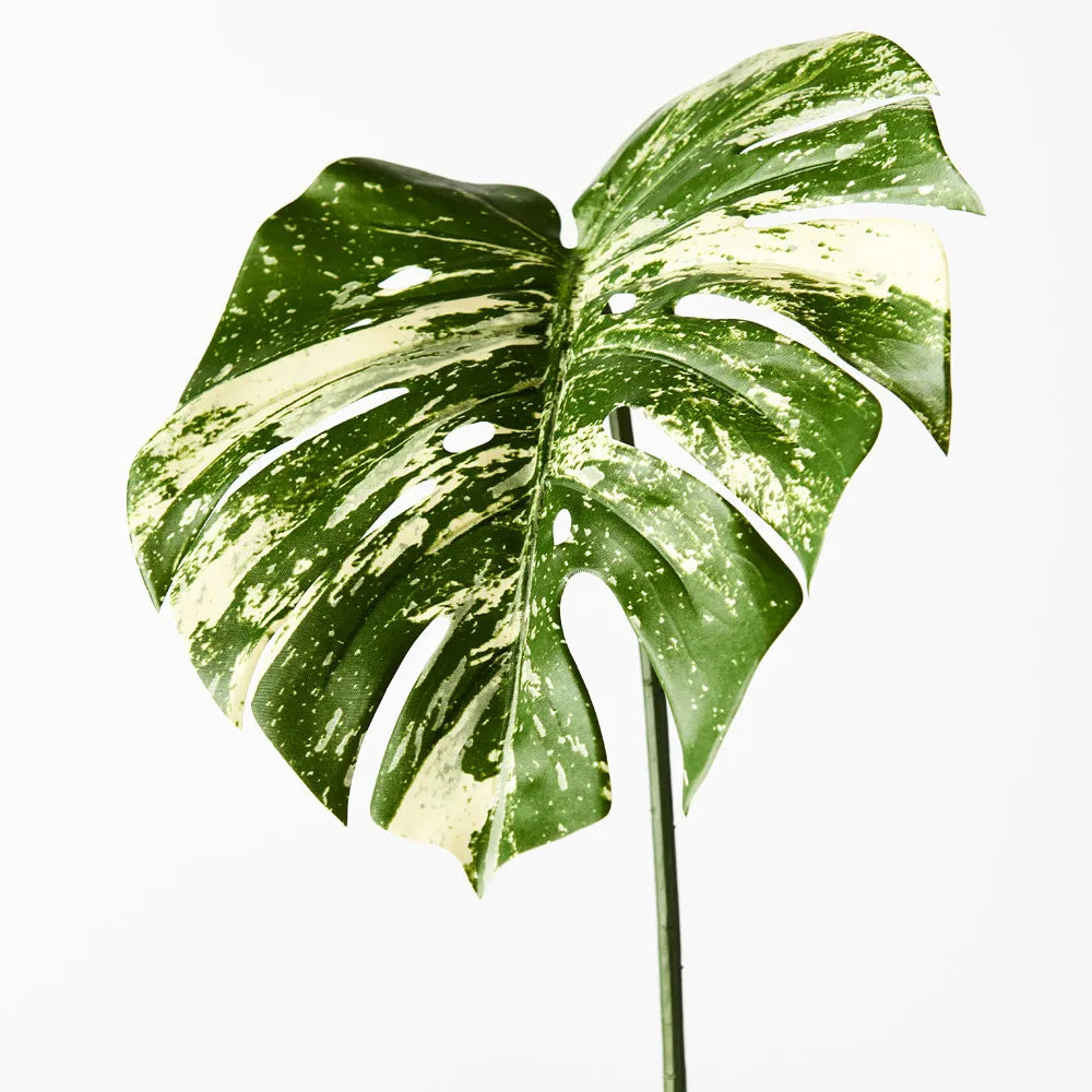 Monstera Leaf 80cm Stem Variegated