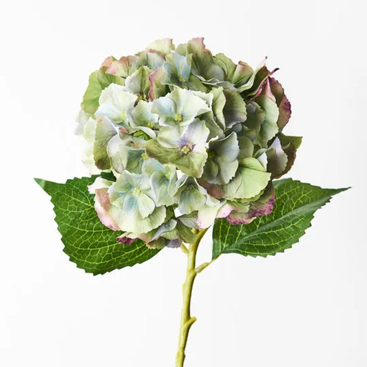Fresh Touch Hydrangea Stem - Green