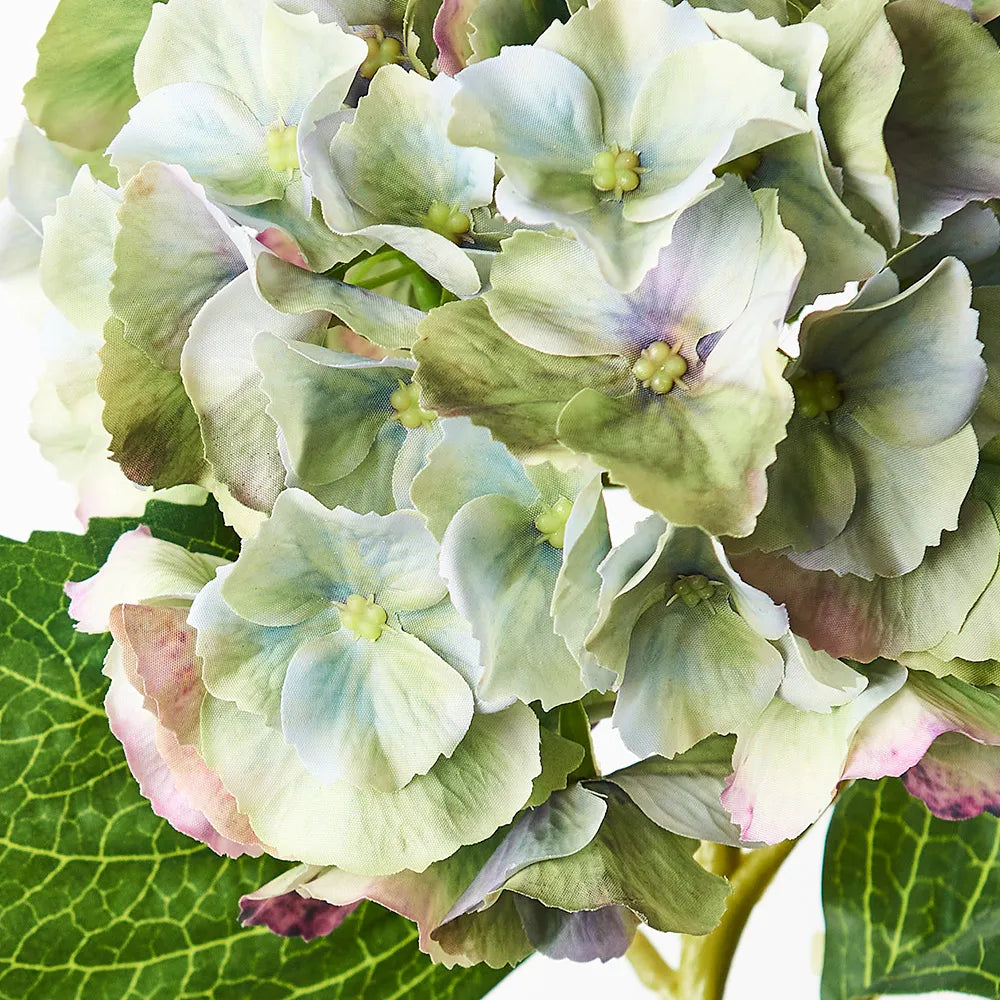 Fresh Touch Hydrangea Stem - Green