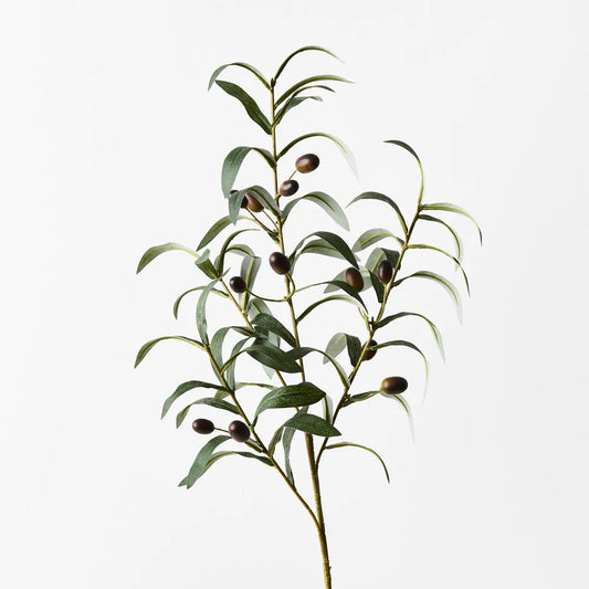 Olive Leaf Spray - 72 cm Stem