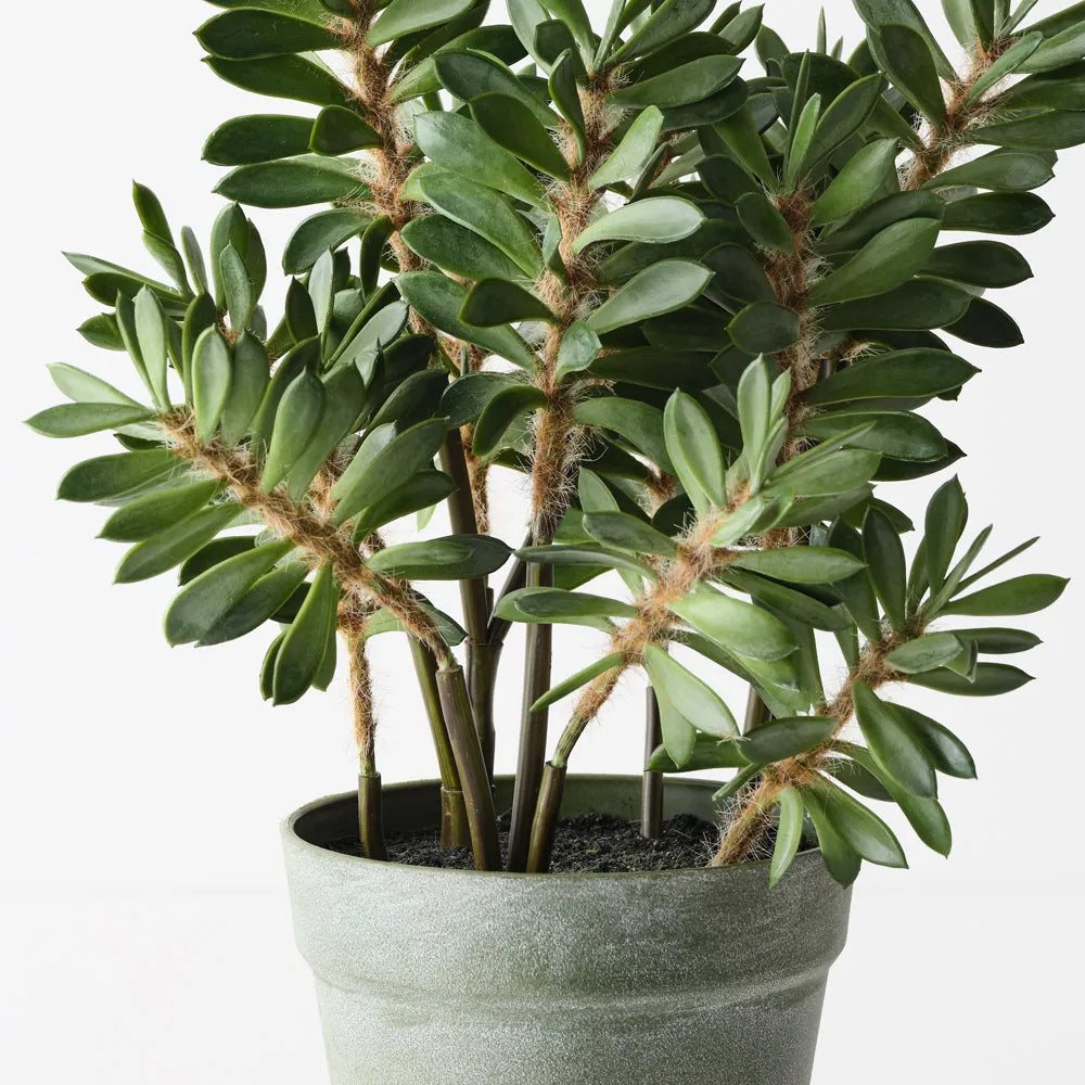Artificial Alhagi Plant