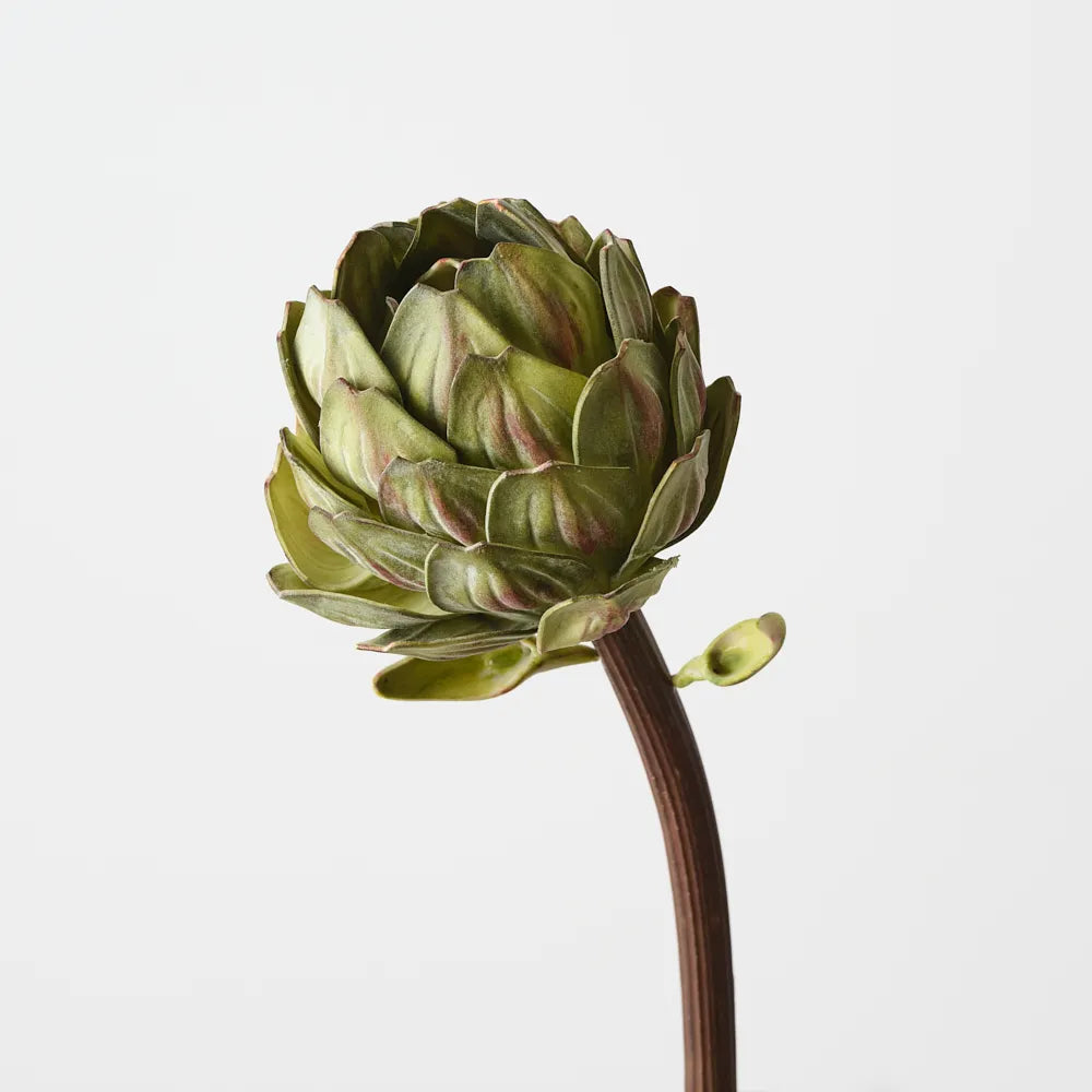 Artichoke Stem 32 cm - Green