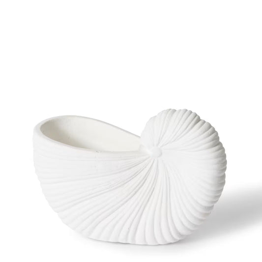 Conch Shell Pot