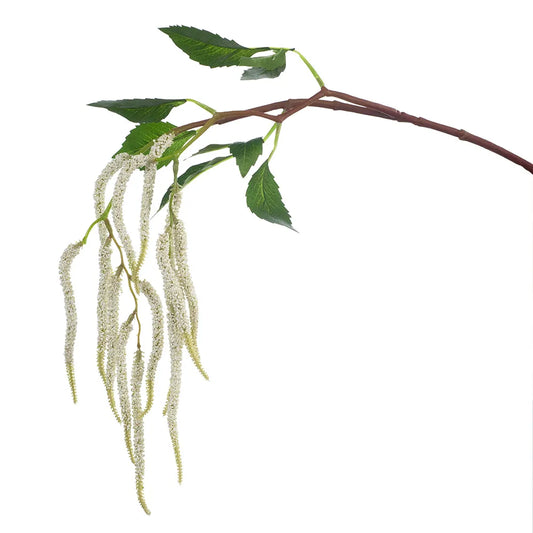 Amaranthus Spray - White 88 cm