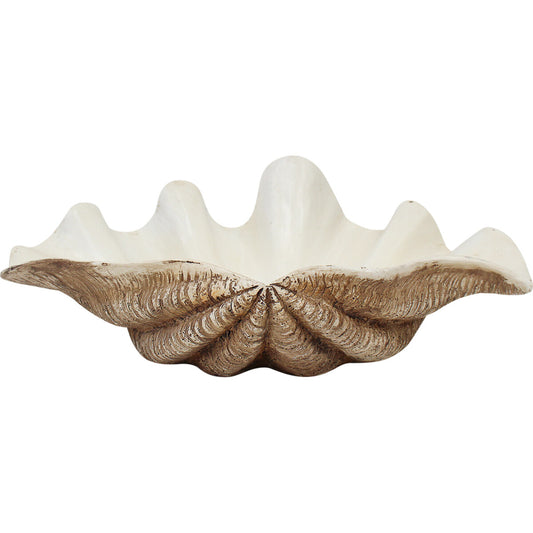 Clam Shell - Dark