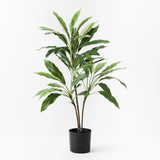 Real Touch 74 cm Cordyline Plant
