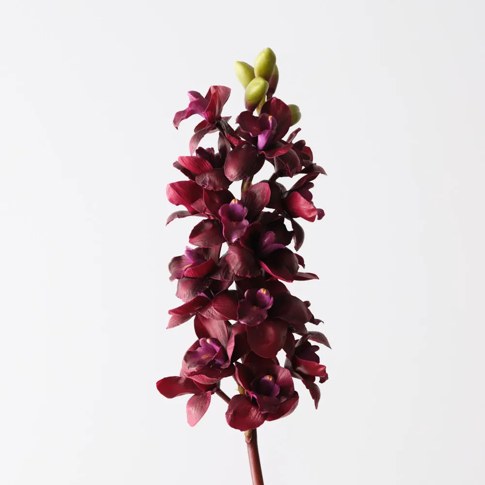 Cymbidium Orchid 83 cm Stem - Wine