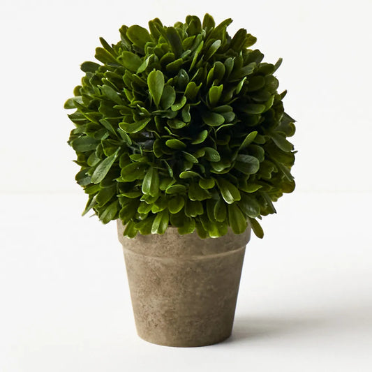Faux Boxwood Ball Potted Plant  23 cm