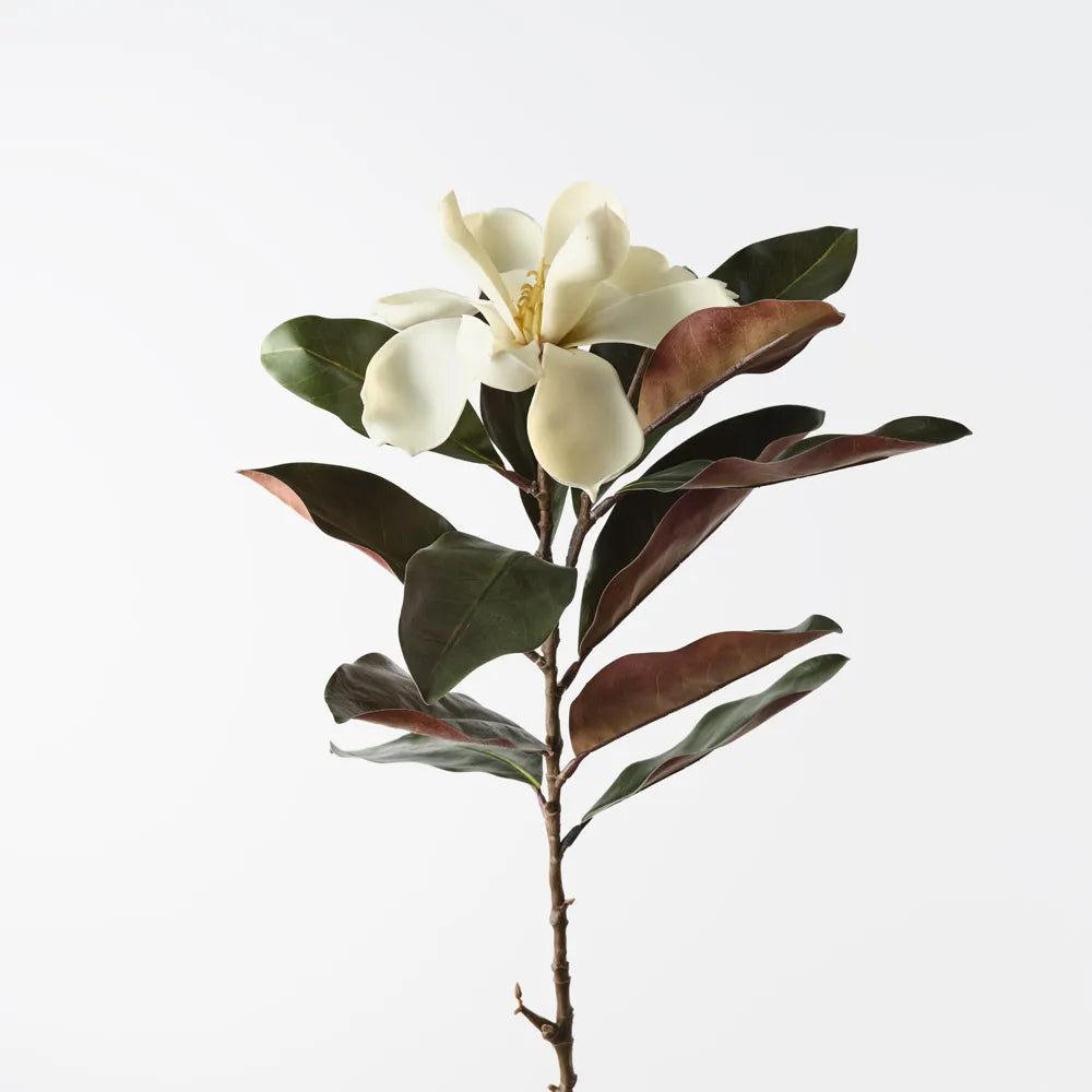 Magnolia Stem - 87cm