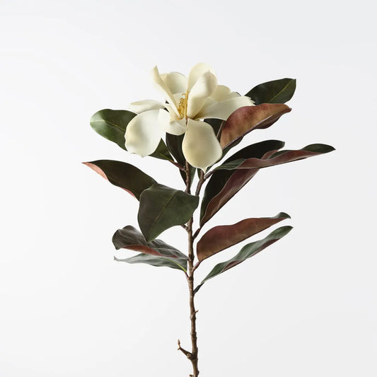 Magnolia Stem - 87cm