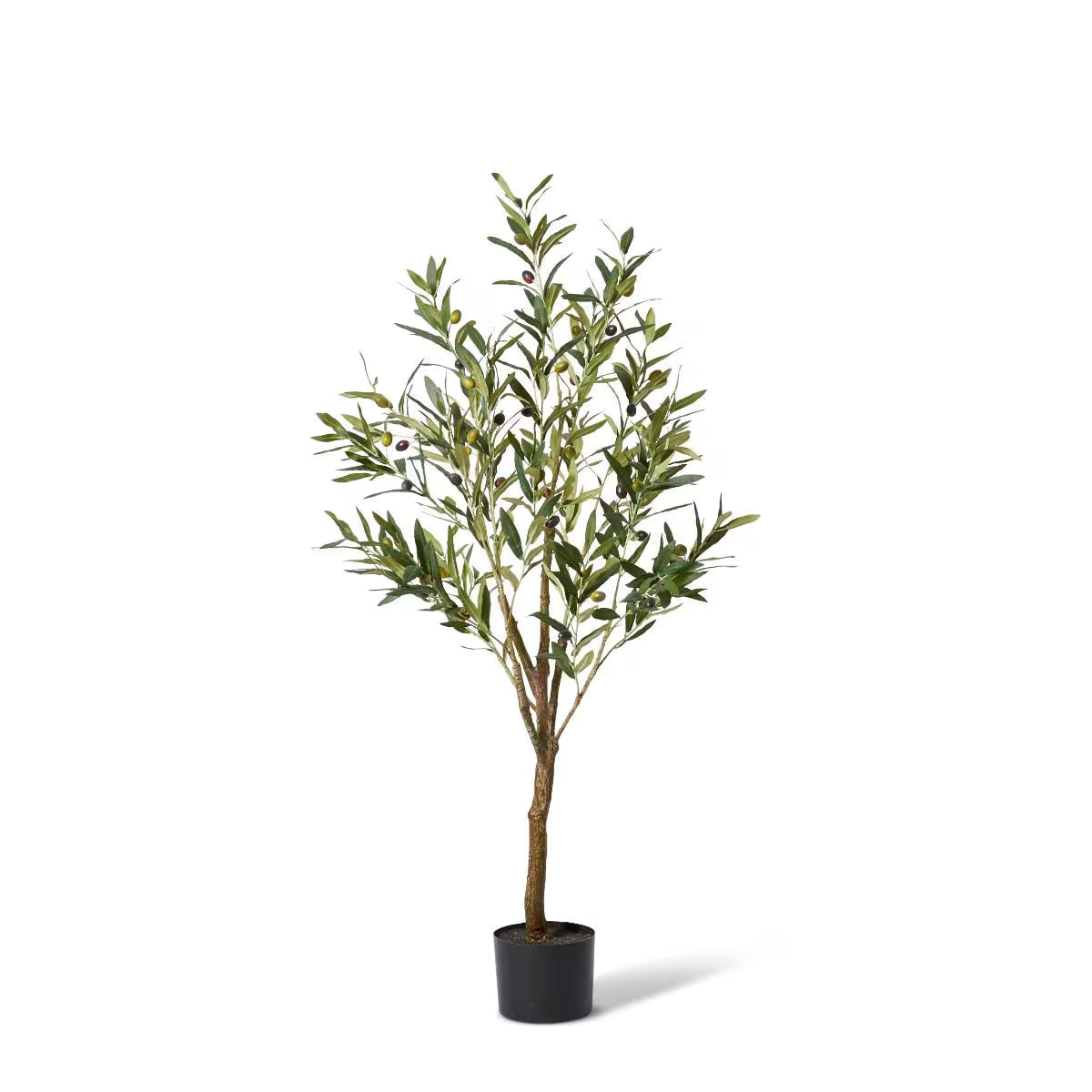 Potted Olive Tree 122cm