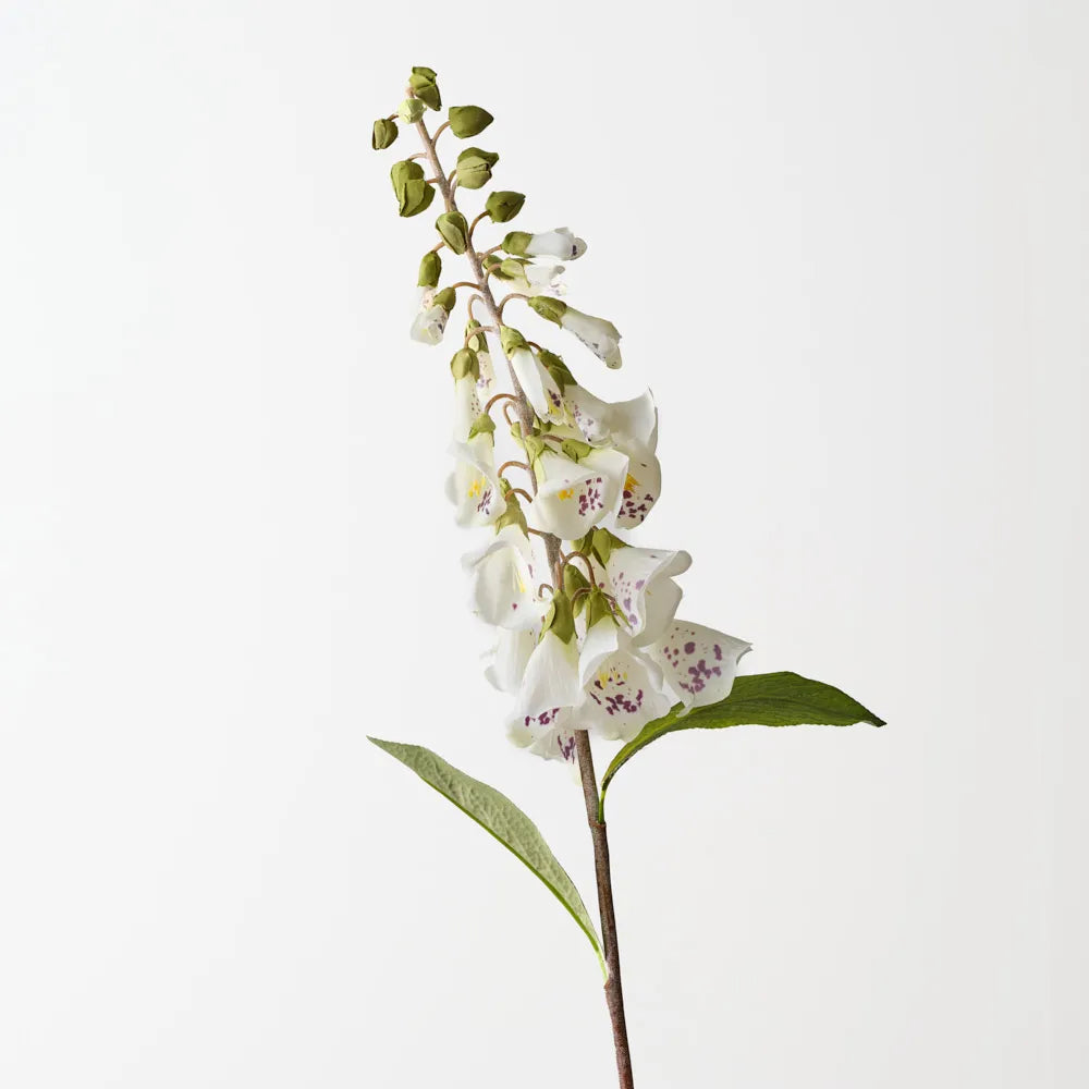 Foxglove 63 cm Stem - White