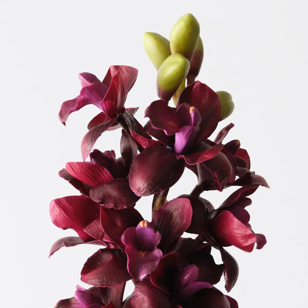 Cymbidium Orchid 83 cm Stem - Wine